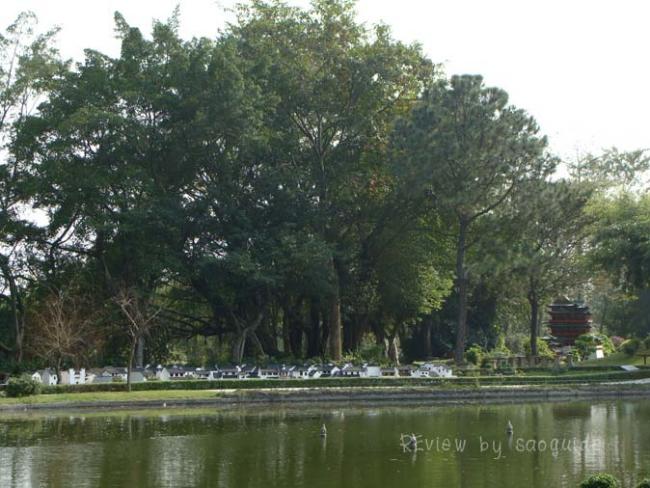 resizeDSC09245.jpg